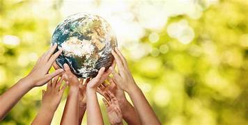sustainability